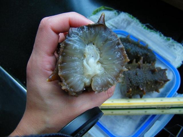 生理期来到时, 不要吃的几种食物, 不然痛经还衰老快