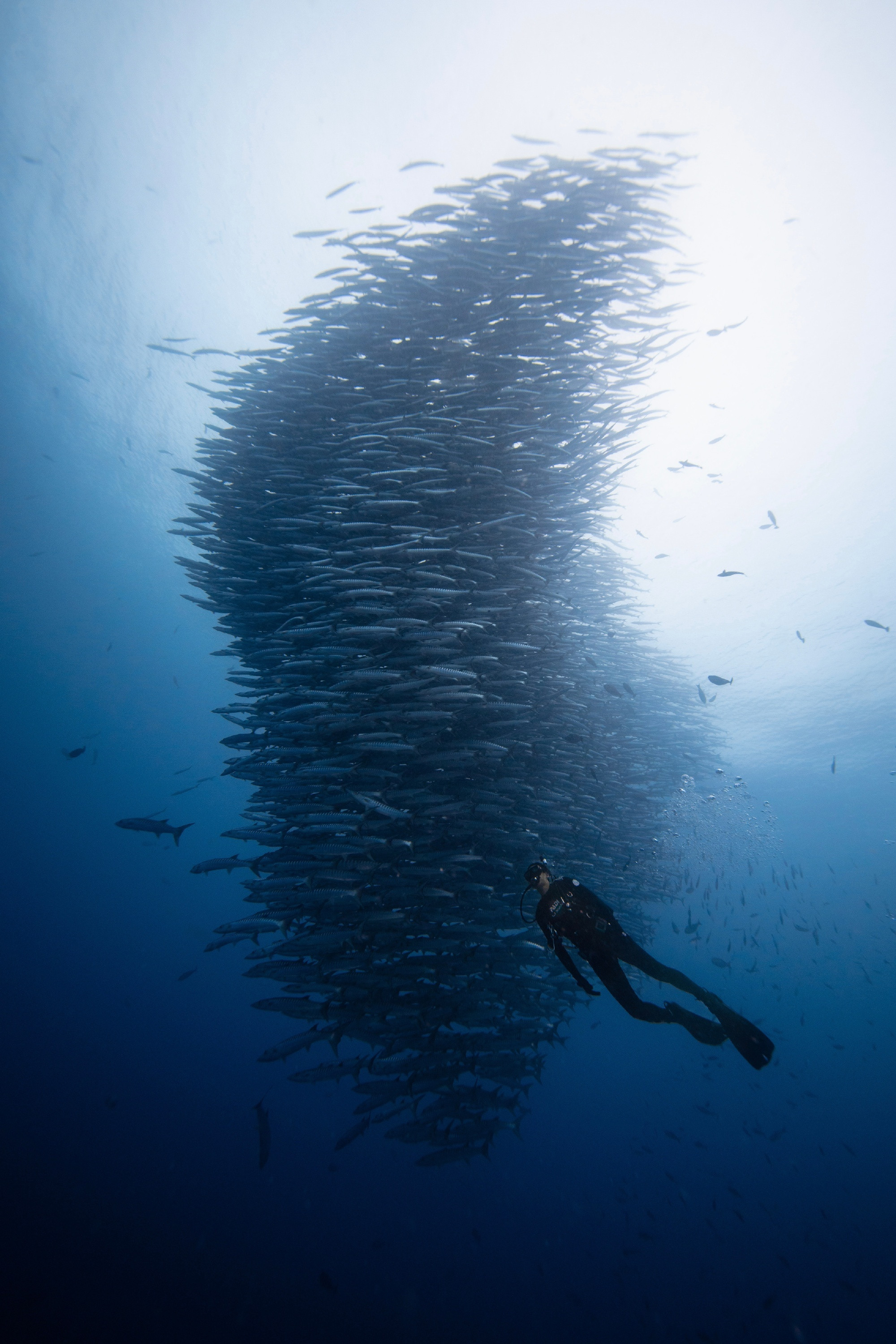 哇哦这是李现​​​