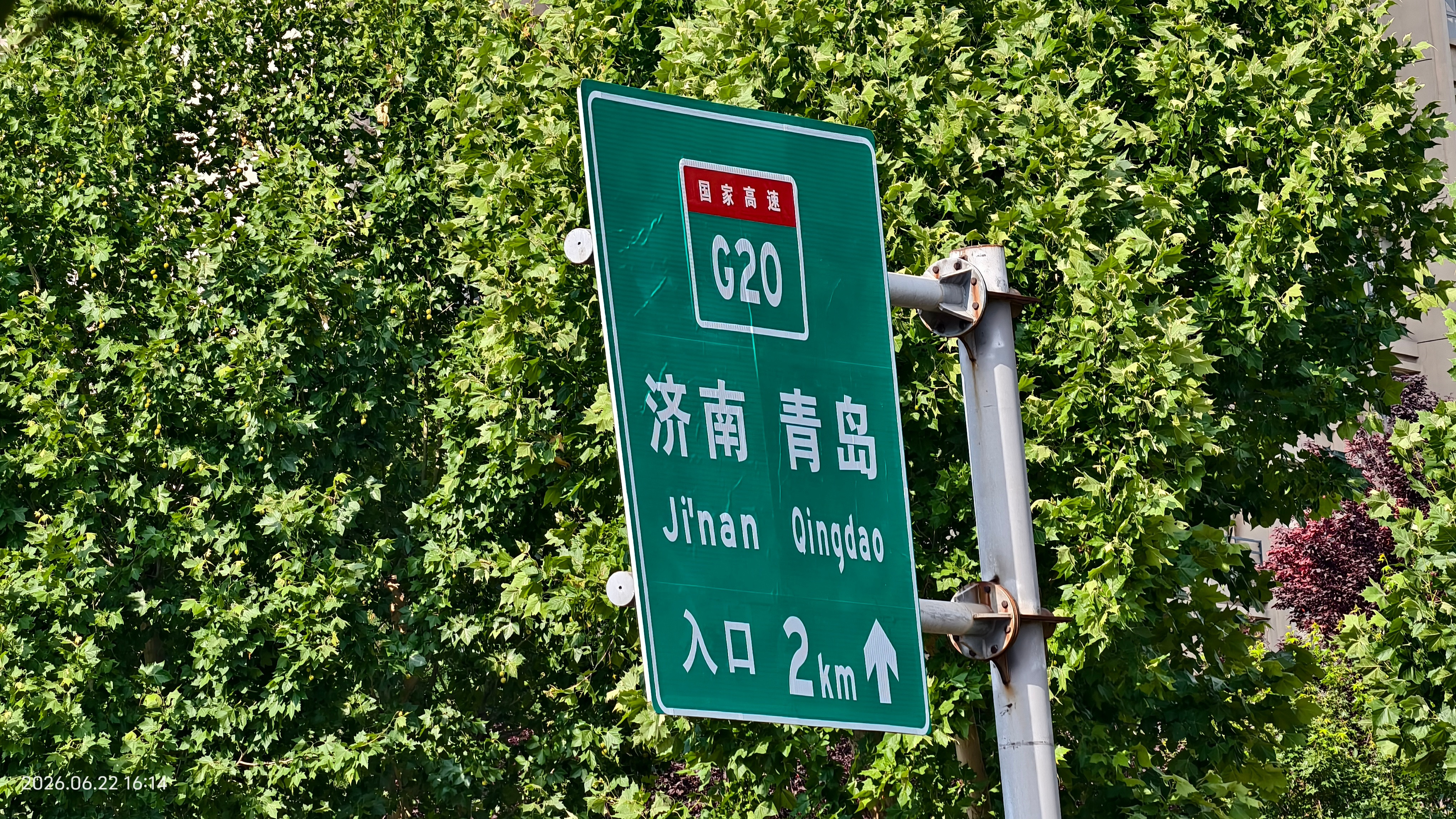 “哦，是青岛，赶紧咔嚓📸”