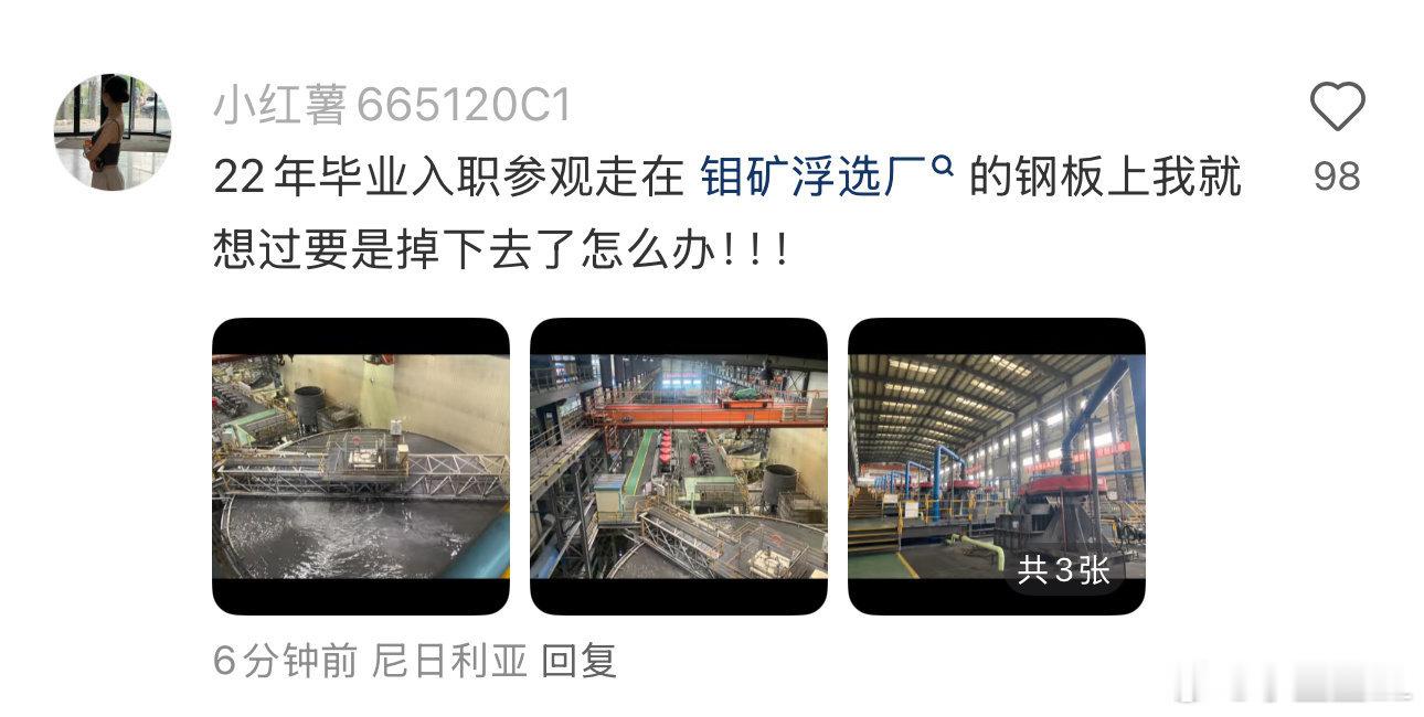 6名大学生在企业参观学习时溺亡不敢想象他们从这掉下去的时候得有多绝望？