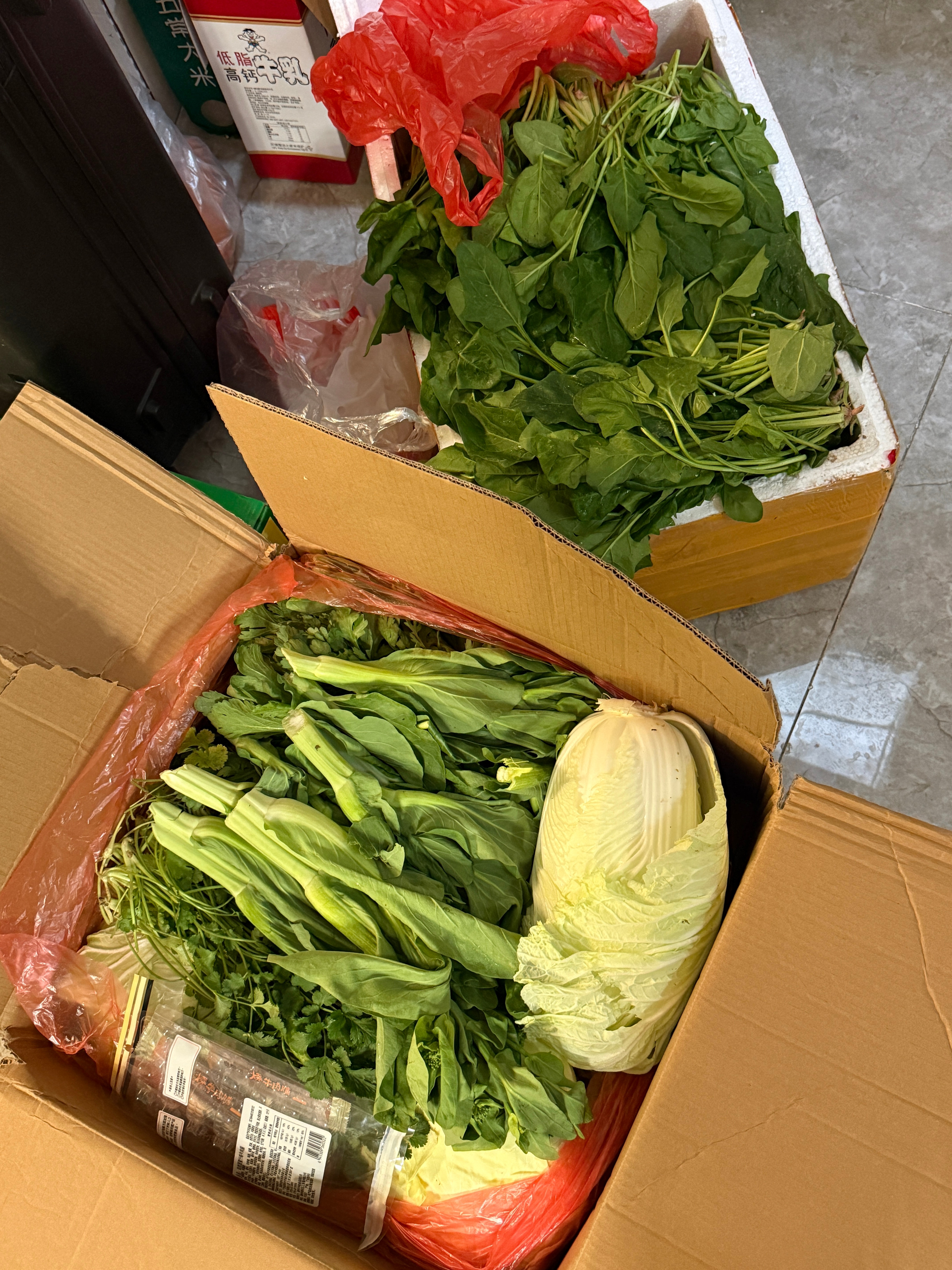 老家带来的青菜，太棒了