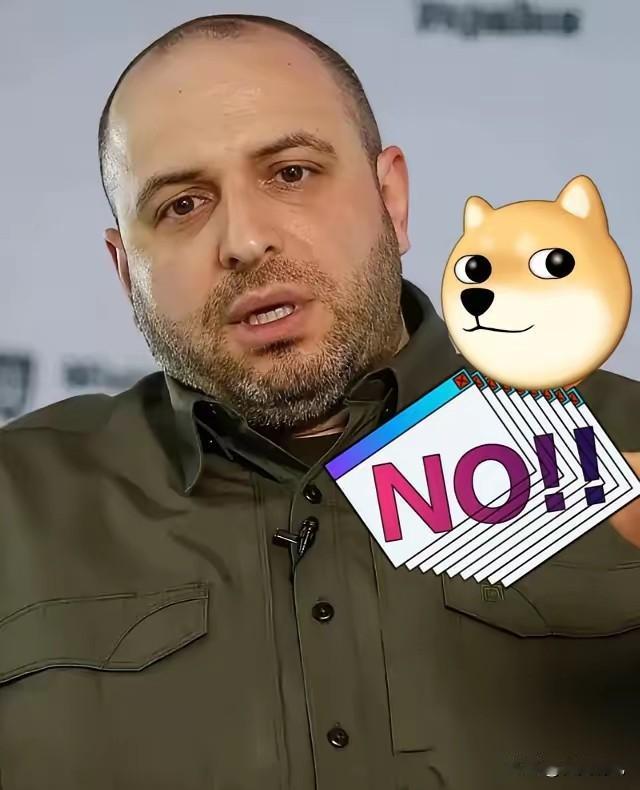 当地时间11月22日，乌克兰国家安全与国防委员会秘书乌梅罗夫在基辅宣布，结束俄乌