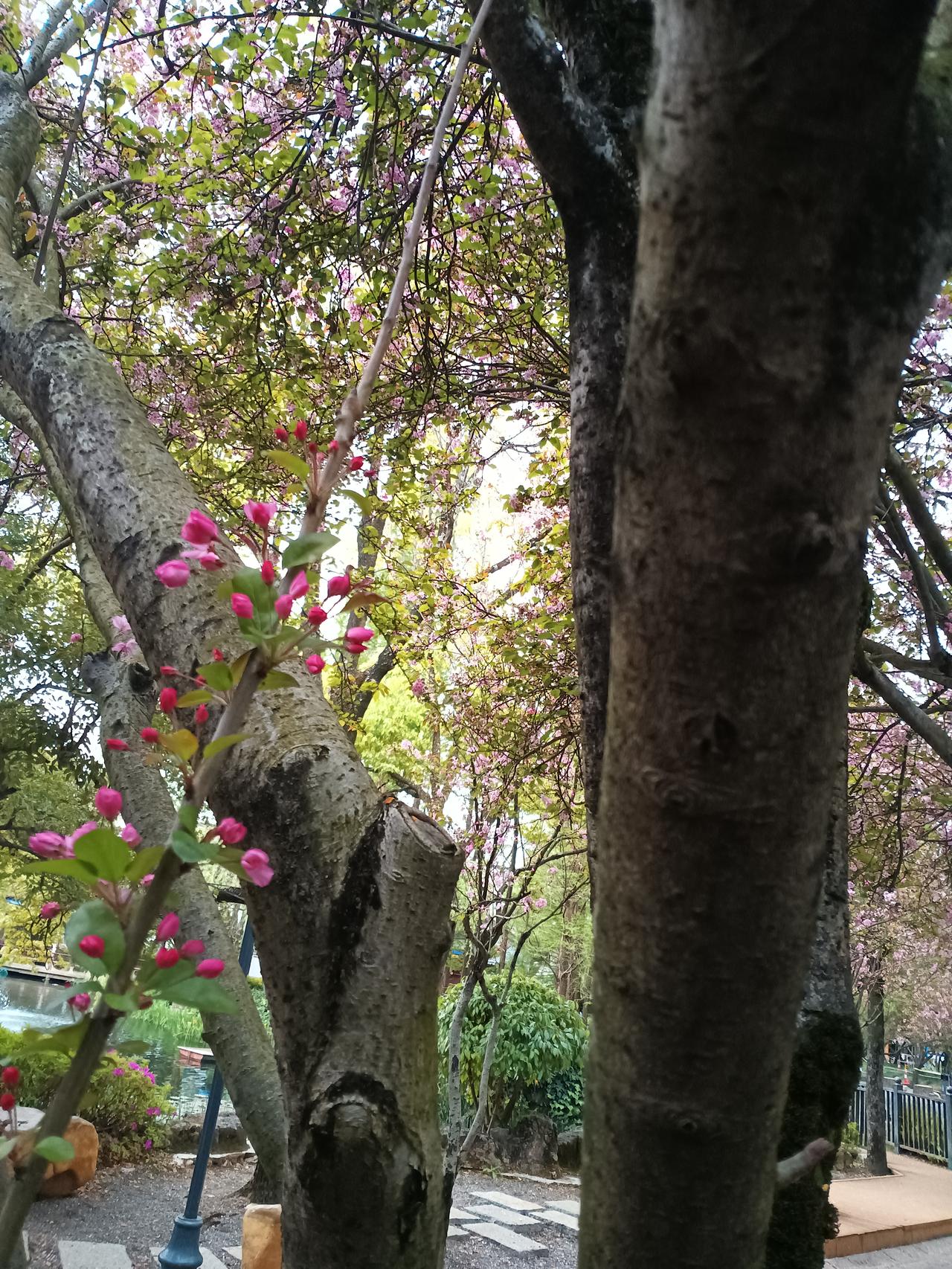 3月16-20号大事件预告，3月16号看盘重点探讨！3月16-20号大