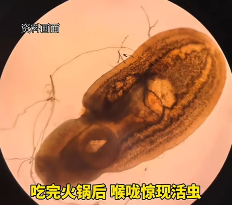 “太吓人了！”12月13日，湖北襄阳，一女子吃火锅时，觉得牛肉煮太久了不新鲜，于