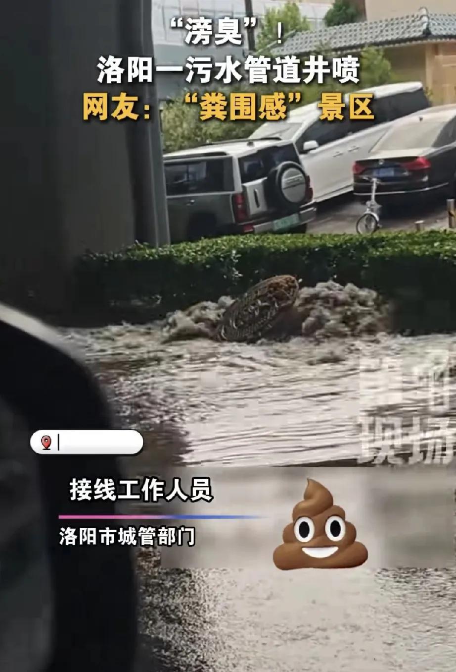 洛阳昨夜经历了“安屎之乱”，满街道的屎被车轮子压匀了，电动车车主遭殃的不少，不