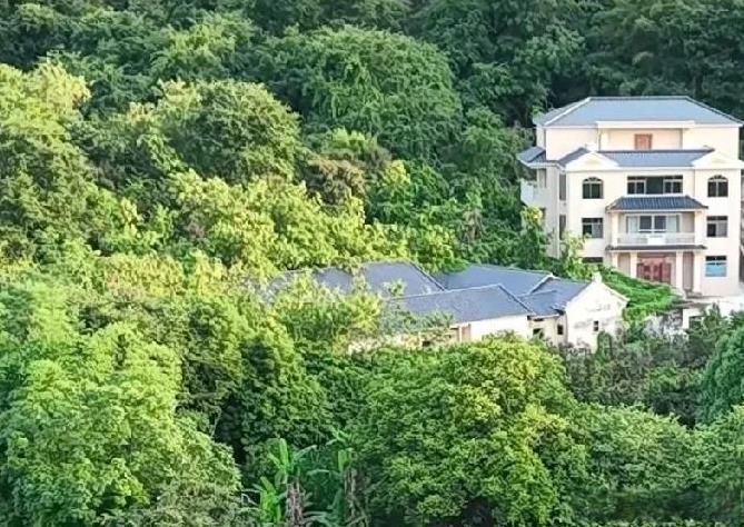 吃完晚饭，我正在厨房里洗着碗筷，大姑姐推门进来，在外面大声嚷道：“弟媳，吃饭了没