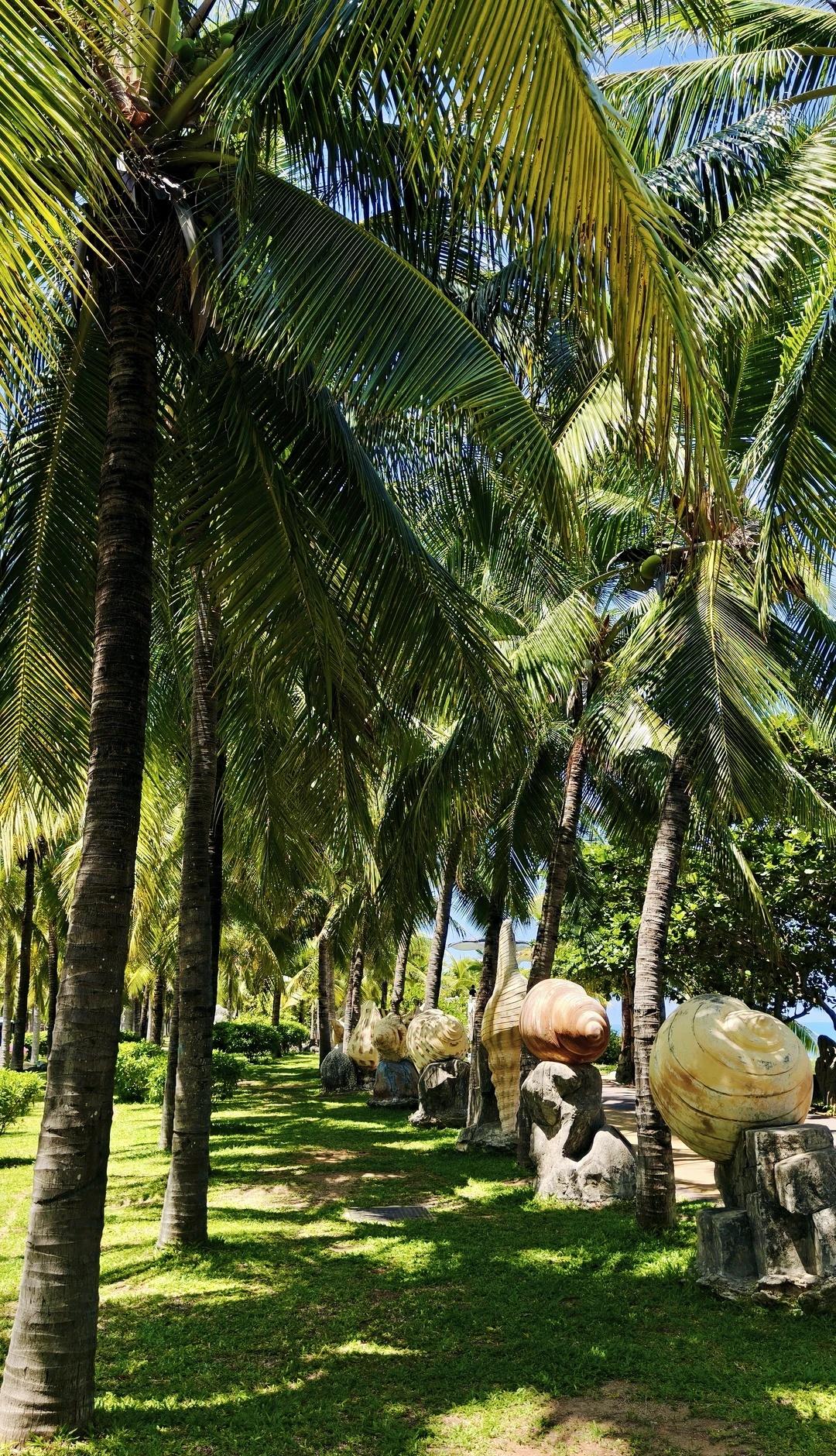 人生第一次去西岛玩，怎么徒步最方便？人生第一次用影像记录我的第一次用文字记