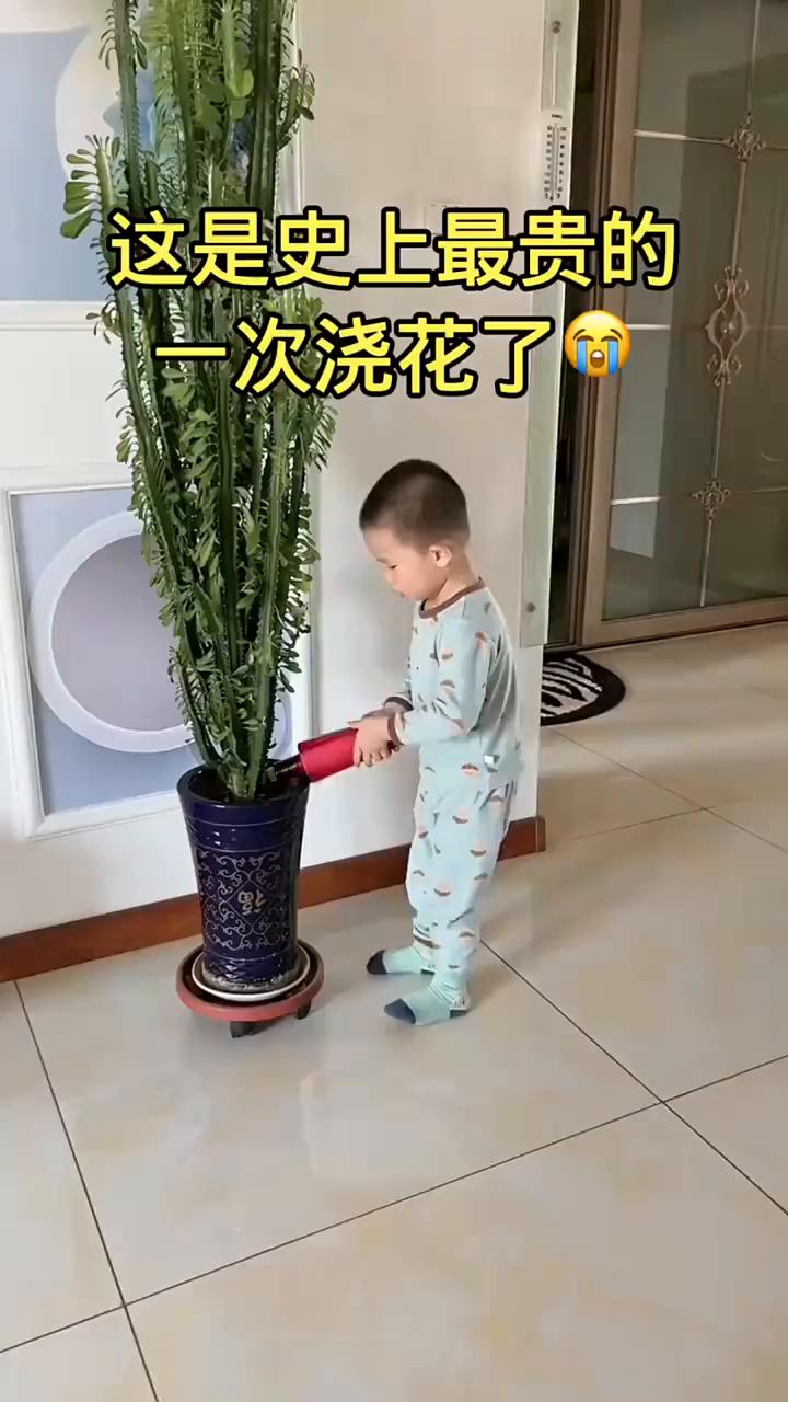 这是史上最贵的一次浇花了。这是什么操作？我做什么了？