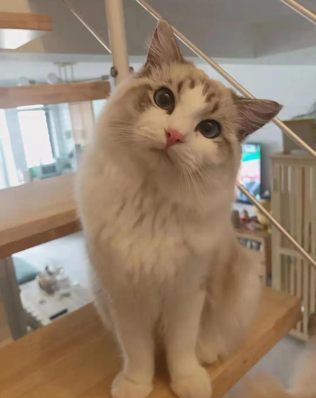 你们听过最禽兽的事情是什么？-------------------------