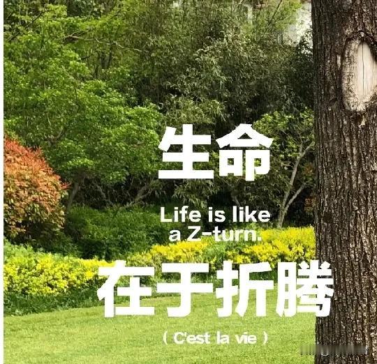 94年的时候流行买户口，我妈把家里的全部存款4万元，给我和我哥买了新区的户口。那