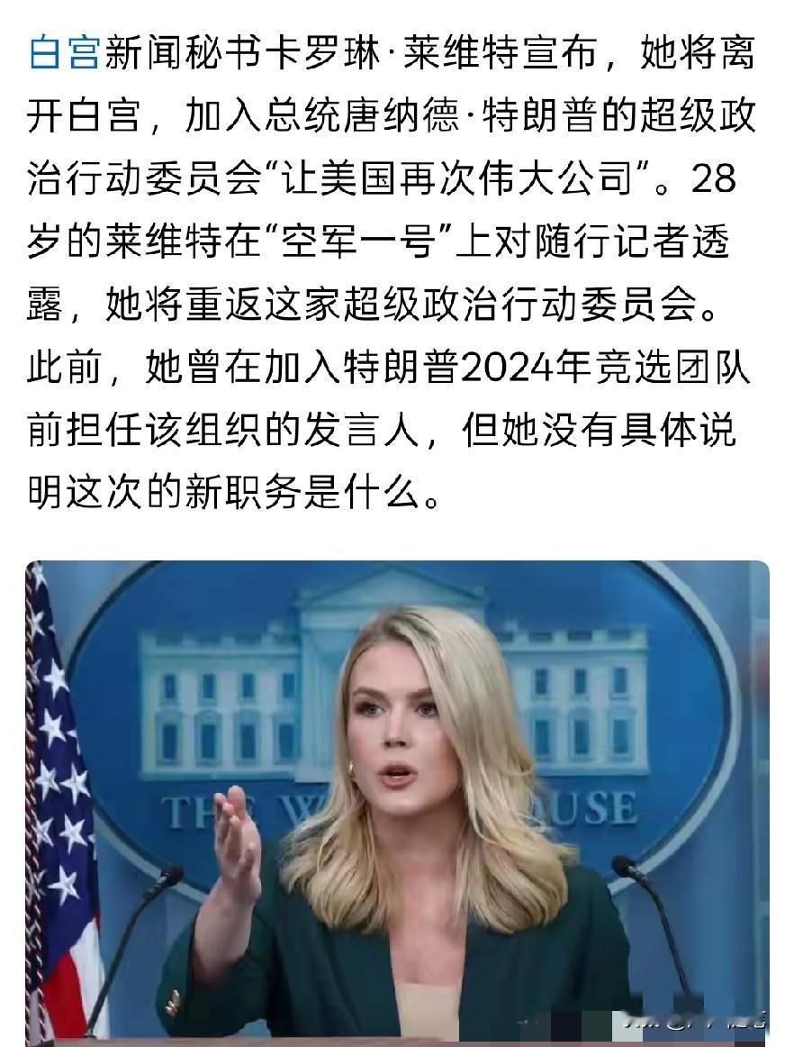 该说不说颜值这一块人家是真没话说。