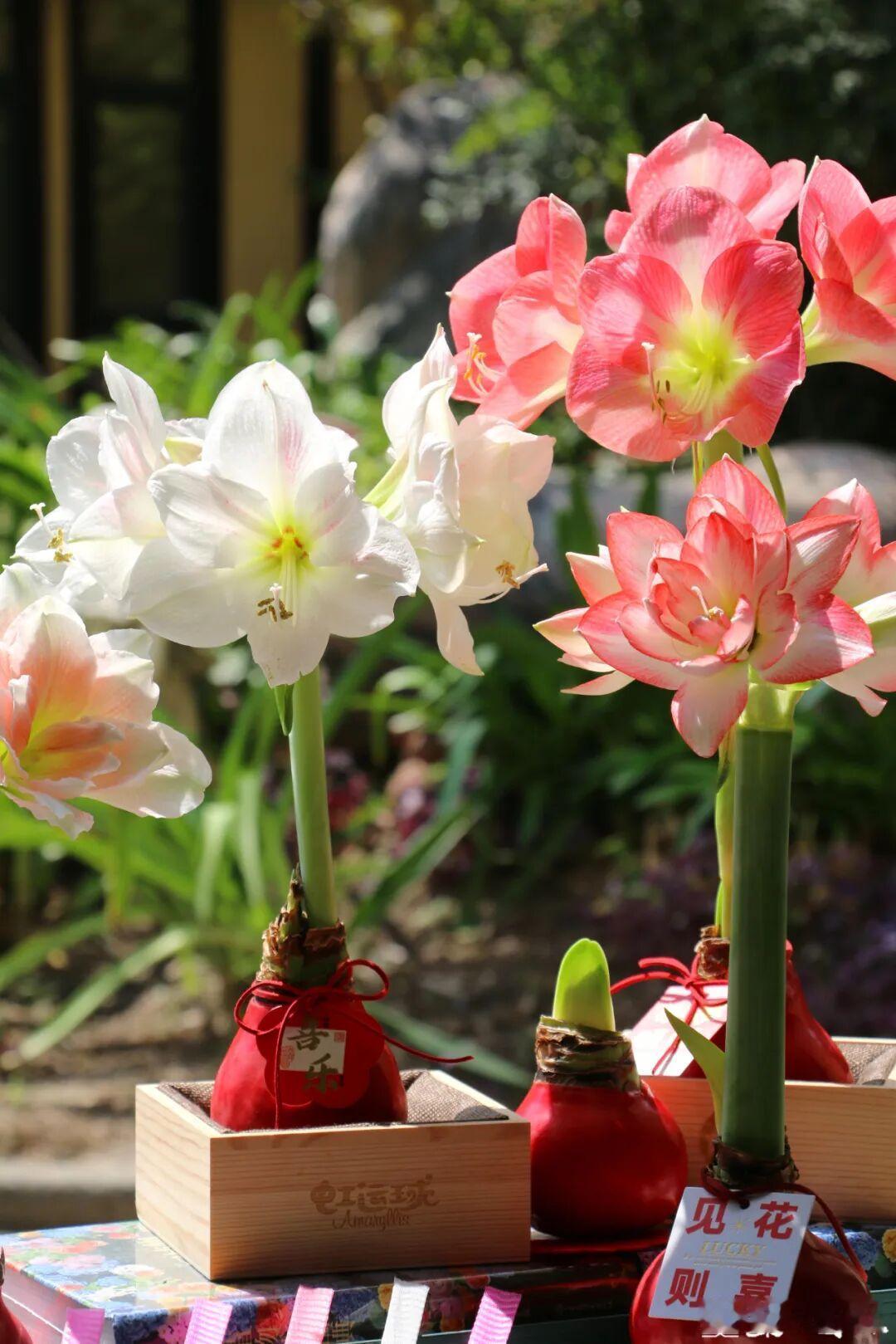 全职太太11年遭出轨净身出户：“我养你”最毒的情话刷到全职太太杨女士的遭遇