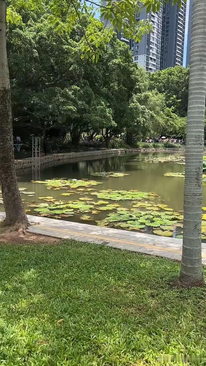 深圳是全中国搞钱最好的城市，没有之一。不要去上海、北京、杭州，就来深圳。因为我在