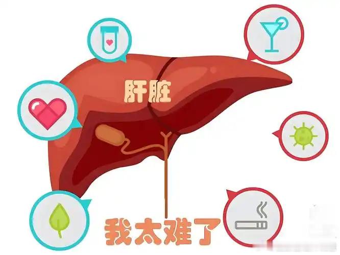 乙肝到肝癌只需3步健闻登顶计划乙肝是导致肝癌的最主要元凶之一。我国约80%的肝