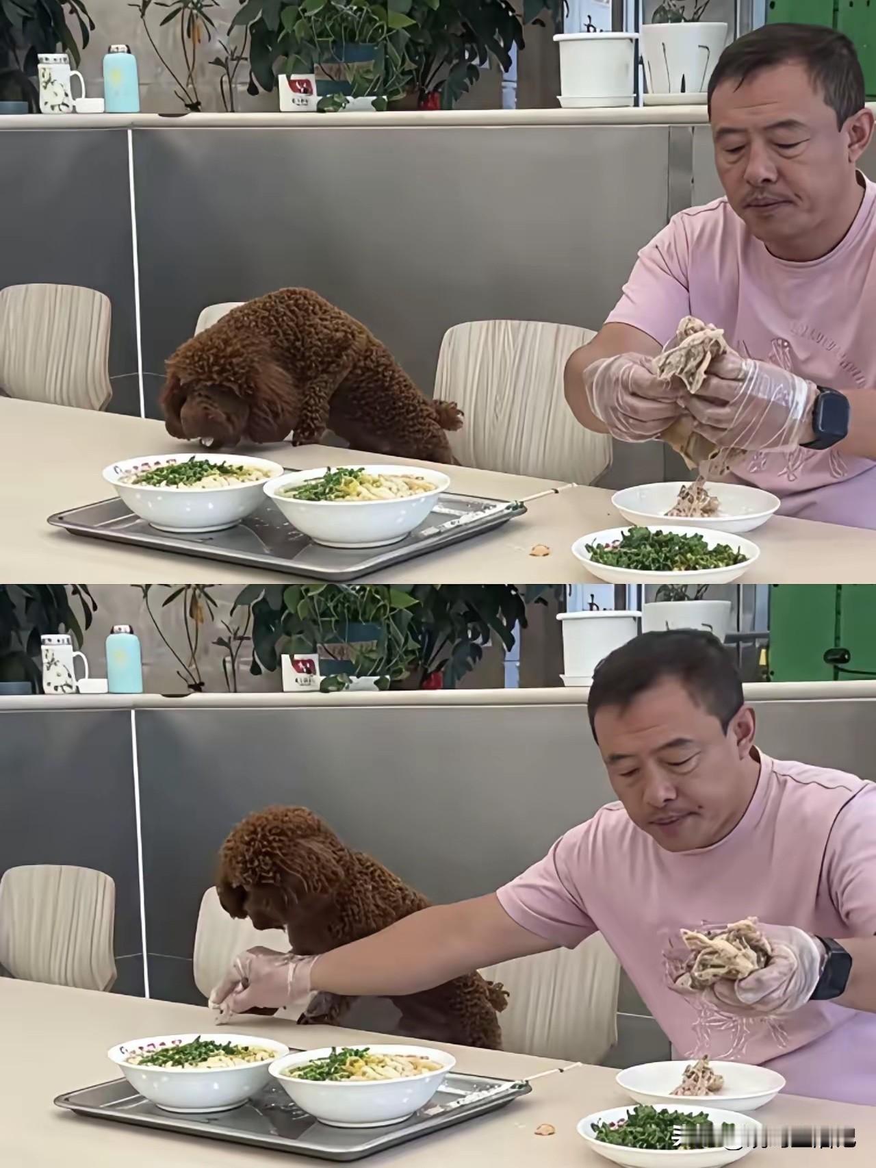 哎，真的很无语啊。
