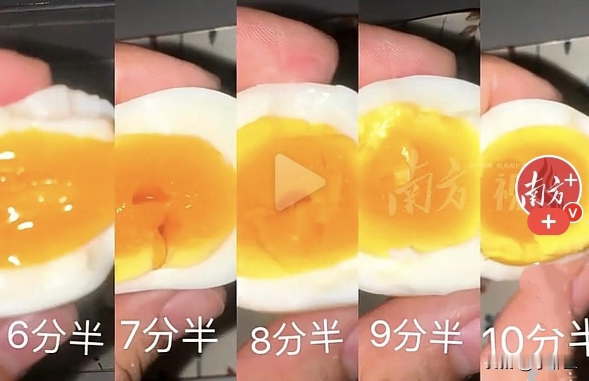 这真是360行，行行出状元，煮鸡蛋都能成网红，所以干什么事儿都要认真，这位网友是