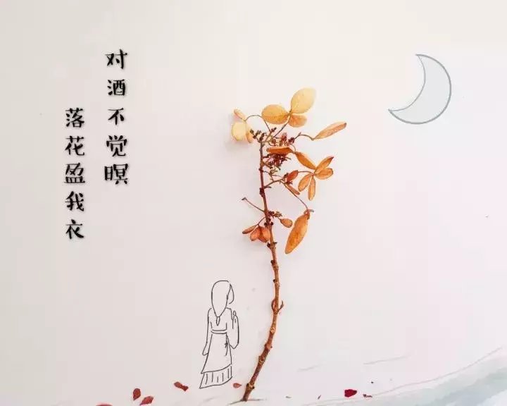 创意漫画: 原来还可以这样背诗词?