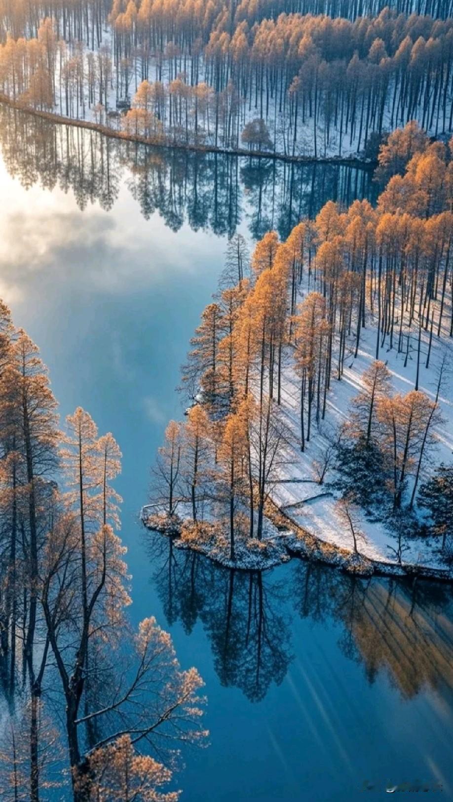 上了高中你才会发现：尽管有70%的高中生都学不太明白，但至少他们大多数品德不会