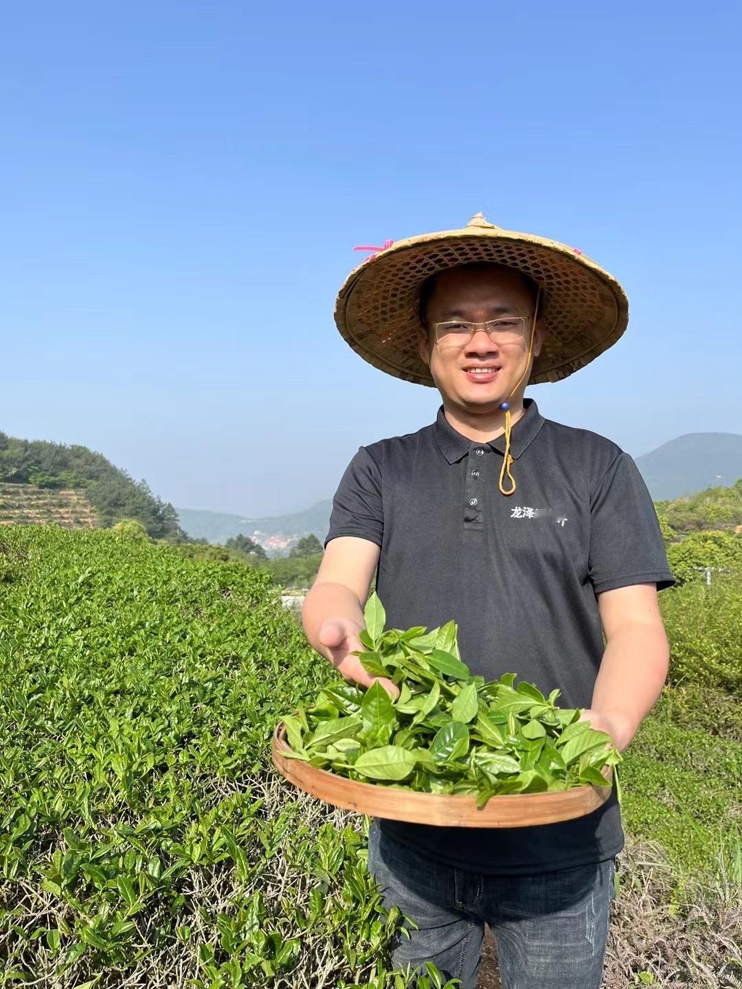 还在乱买铁观音？源头茶厂价格太香了！家人们，别再花冤枉钱了！今天给你们分享茶