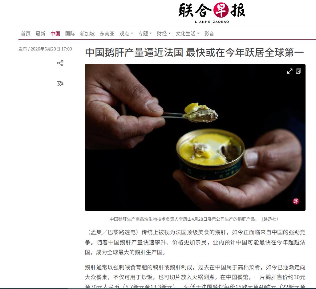 当中国鹅肝产量超过法国后，欧洲的动保组织坐不住了，开始反对我们强制喂食鹅了。