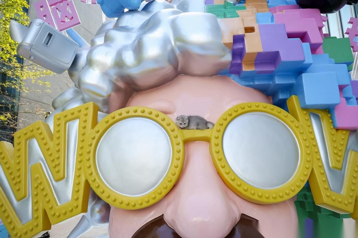 杭州这场活动，释放了一个惊人的信号：“一人应用时代”要来了！4月20日，蚂蚁灵