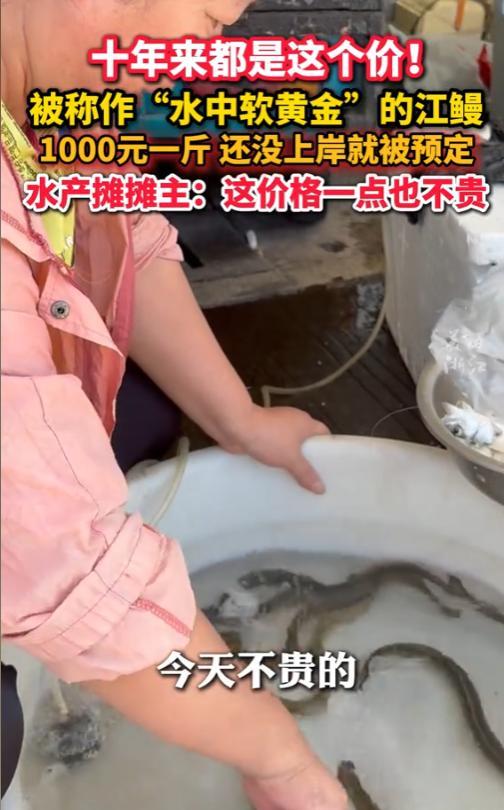 “有钱任性！”7月1日，浙江杭州，一条鱼居然卖出了1000元一斤的高价，甚至没上