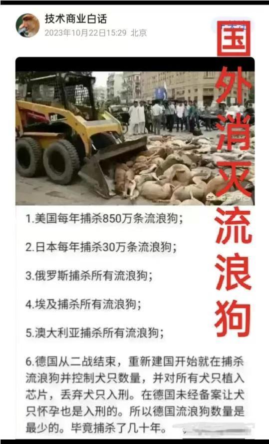 在操场上打死只流浪狗保安要被停职？打狗是为民除害，根本不是暴力。没有捕获工具，狗