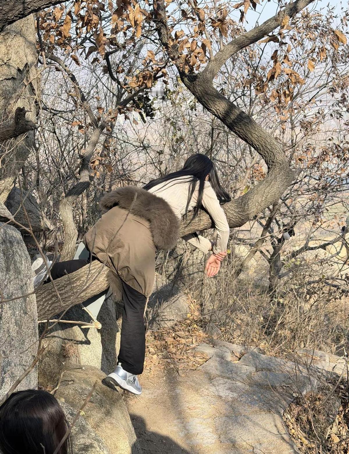 酒一喝，山就废了。十公里路，走了不到一公里，转身下山。不是爬不动，是不想陪醉