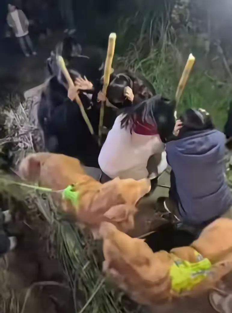 “偷甘蔗”活动，老板笑不起来了。“偷甘蔗”活动爆火。老板由最初开心的自嘲人多，