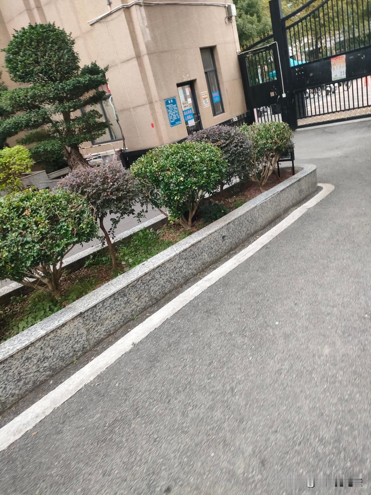 今天路过小区门口，脚底下这路还有点晃悠，估计是刚走得急。旁边花坛里的小树被
