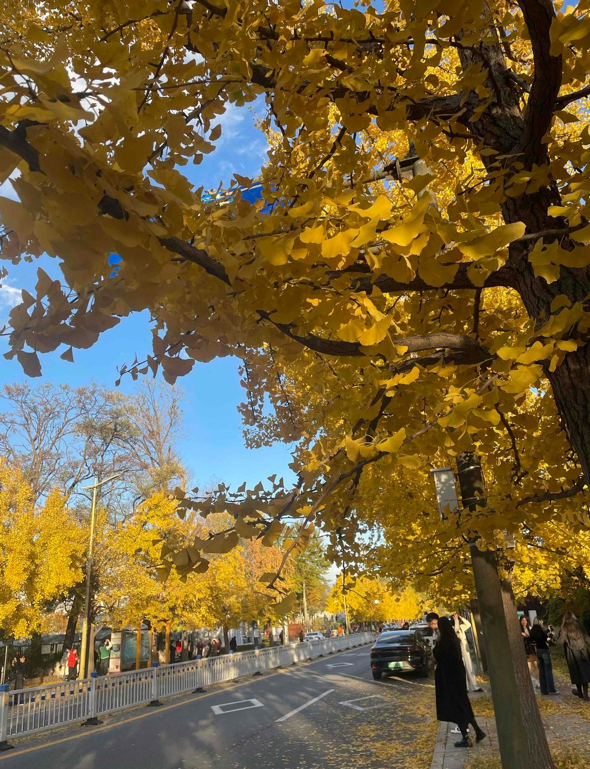 别再买一堆穿两次就扔的衣服了。七八千的羊绒大衣，穿八年不掉价，隔壁同事一年换五