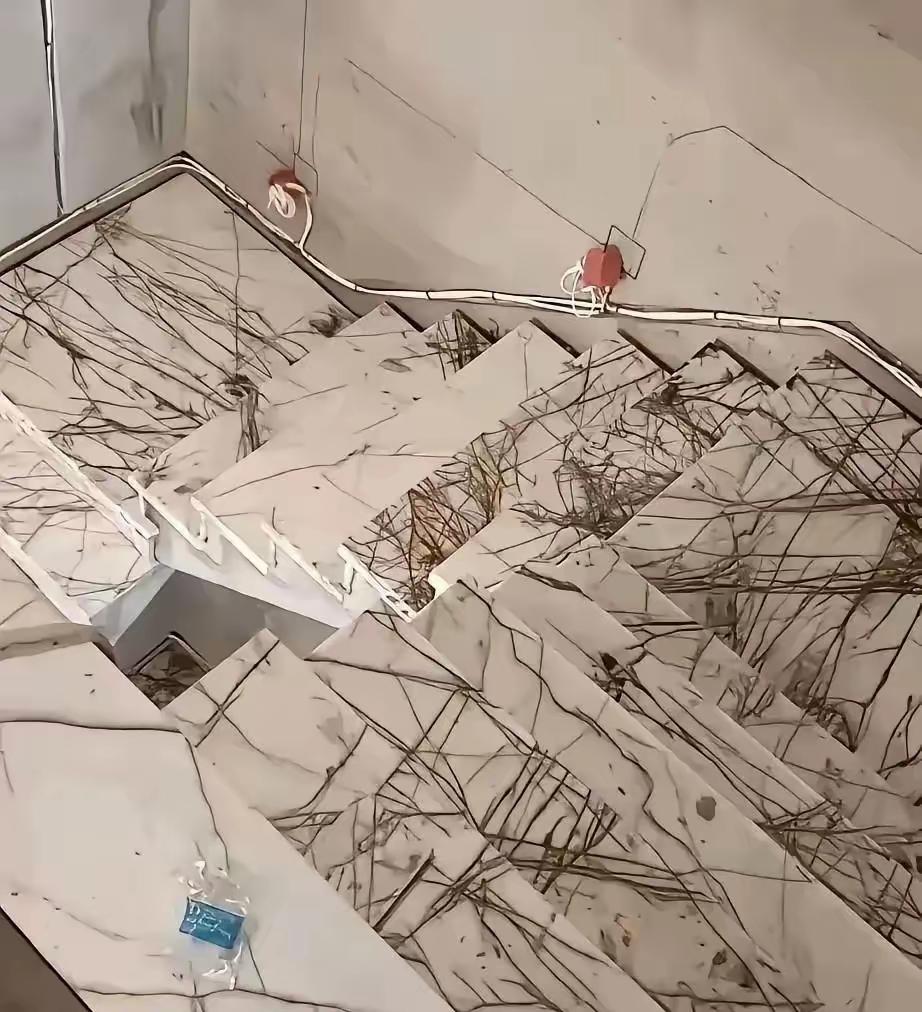 有网友爆料，说自家的瓷砖让媳妇负责，竟然是这么一个效果，看的让他崩溃不已。这样