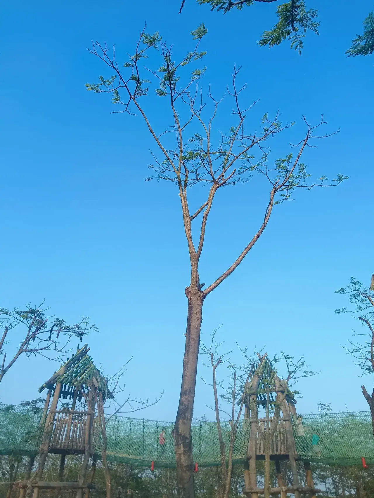 在家得不到满足的男人，会出去偷吃吗？闺蜜跟我说，她非常不喜欢做那事。其他事情
