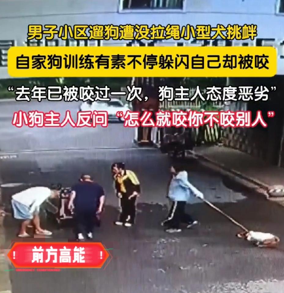 “它为啥不咬别人就咬你？”安徽这位狗主人的话，真是把“受害者有罪论”玩明白了！