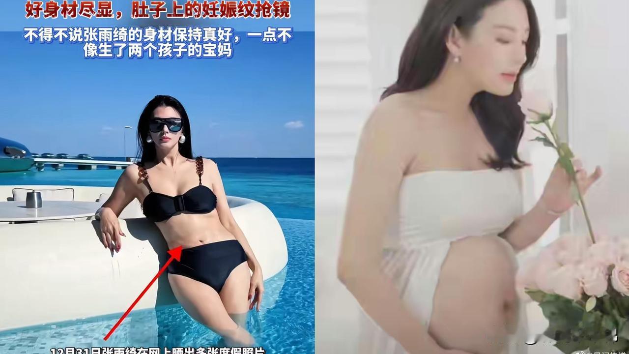 什么孕照，比基尼照，妊娠纹，都是避重就轻啊，只能说明她怀过，不能证明怀了俩。人家