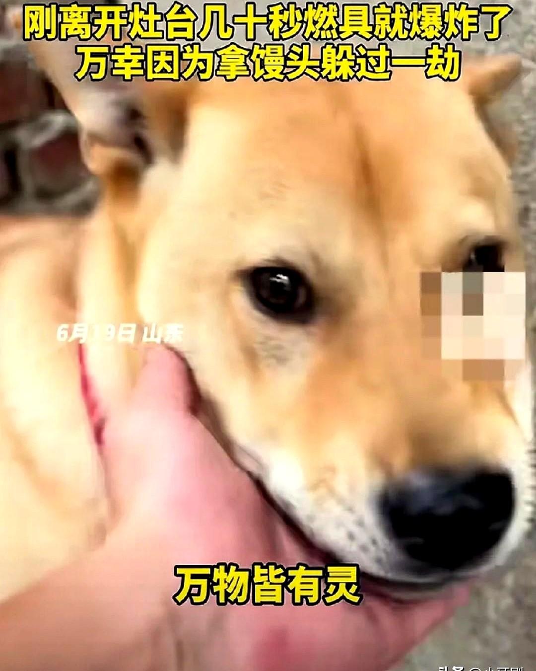 6月19日，山东发生了一起惊险一刻，差点酿成大祸的真实故事。男子守着燃气灶煮粽