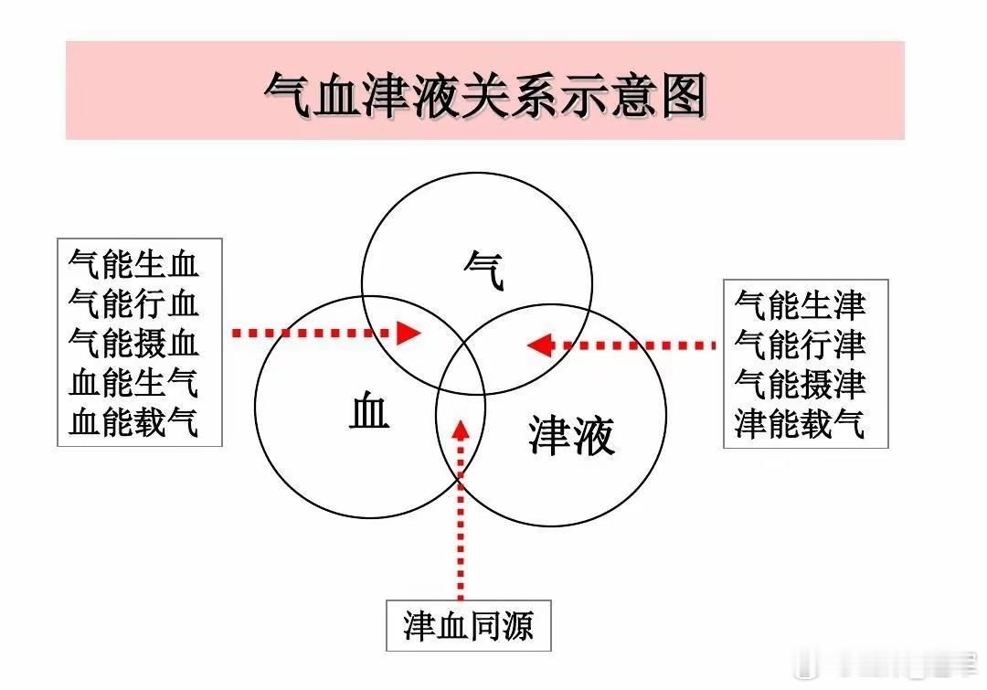 五脏之气，皆依赖于胃腑的水谷精微来滋养，胃气乃五脏之本。脾气虚弱之后的三个发展方