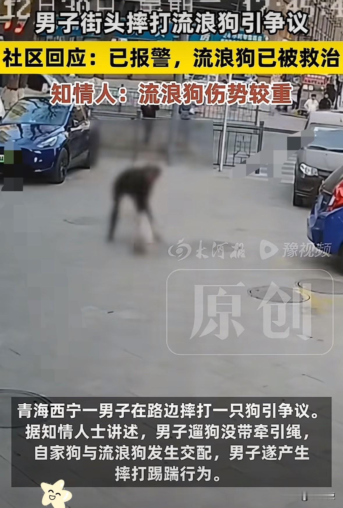 “必须严惩！”青海一男子出门遛狗，不料，狗子却趁他不注意，偷偷和一只流浪狗交配，