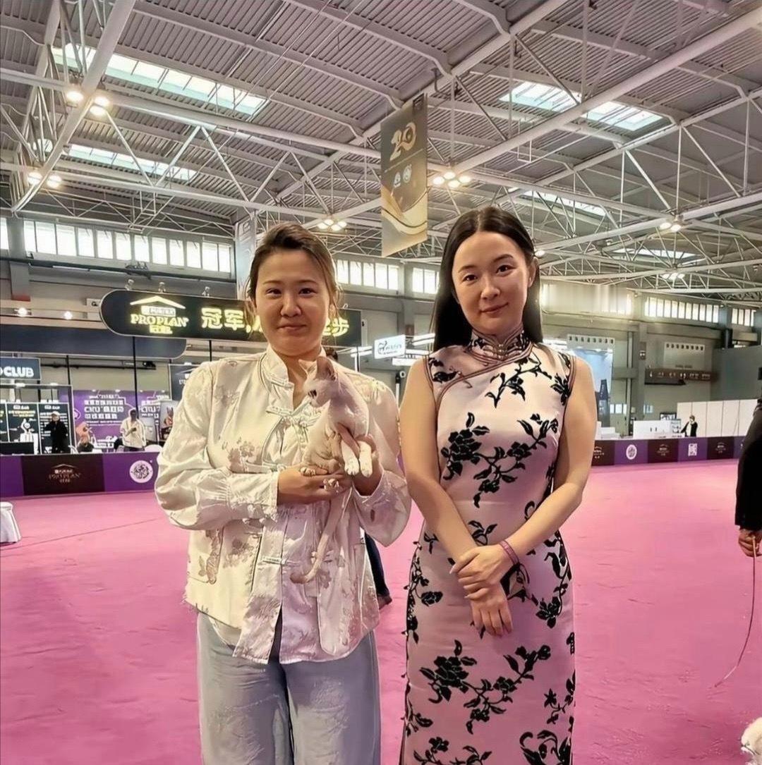 霍思燕生图感觉和以前不太一样了