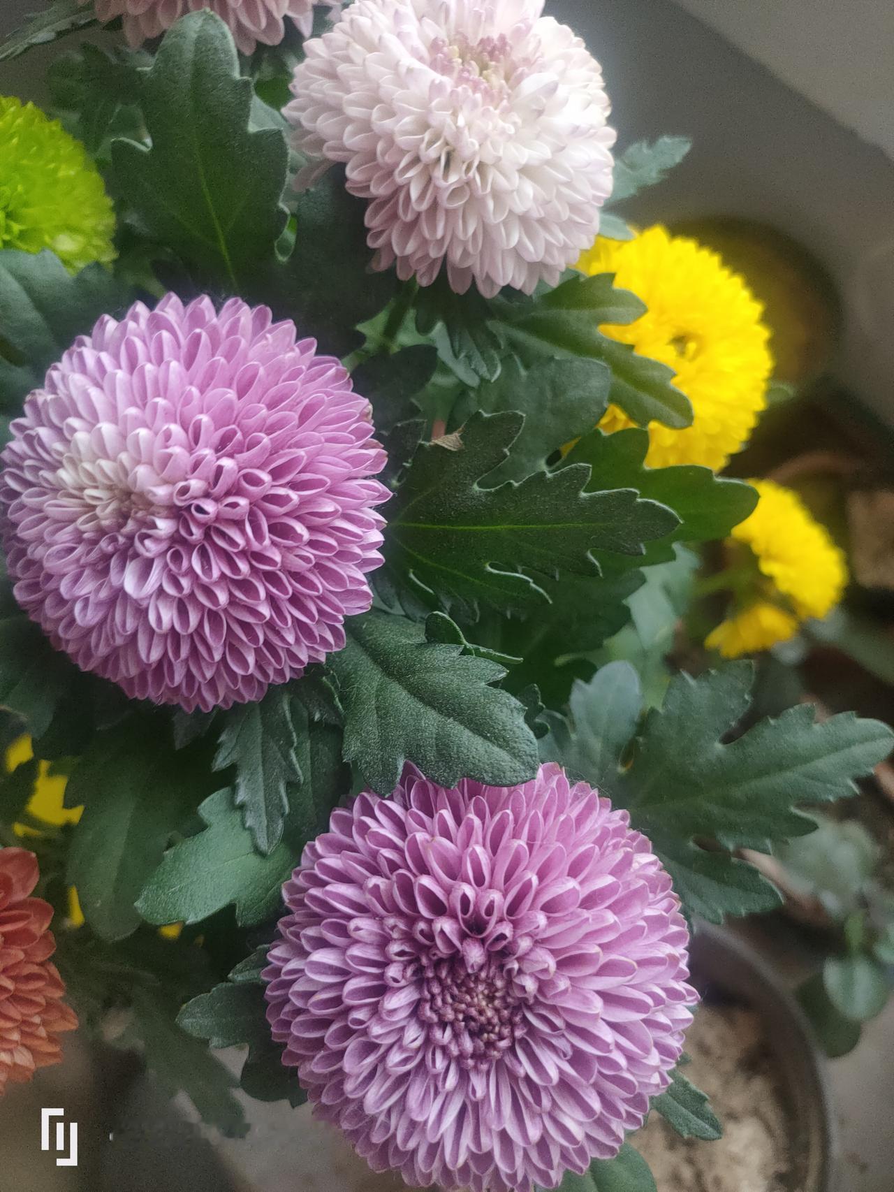 真是愁人！今天去了小姑子家，敲门后进去。她正在睡觉，她老公在沙发上打游戏。