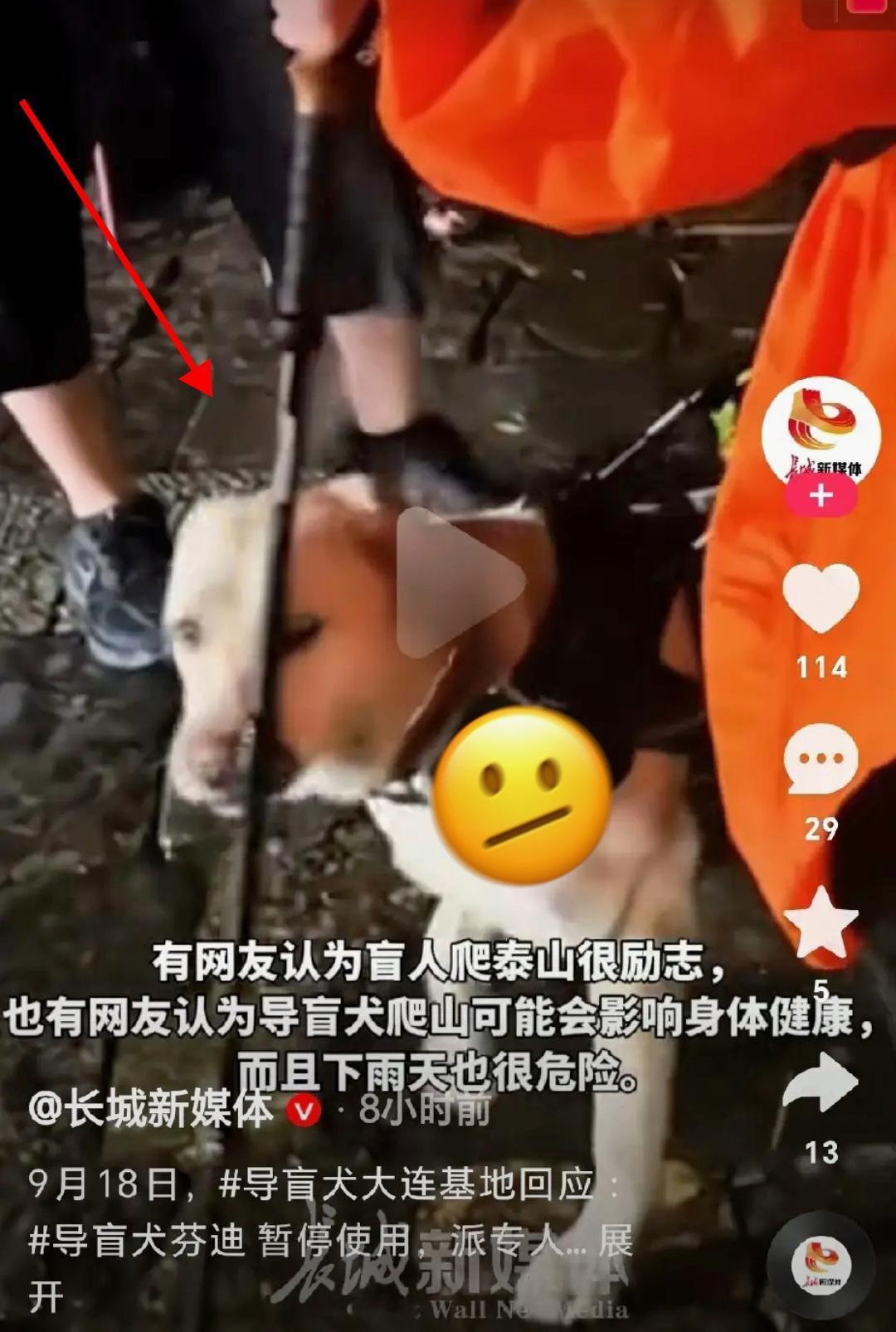 我可怜盲人的遭遇也可怜她心情不好，但是我不可怜她现在的作为大连市残联最新消息
