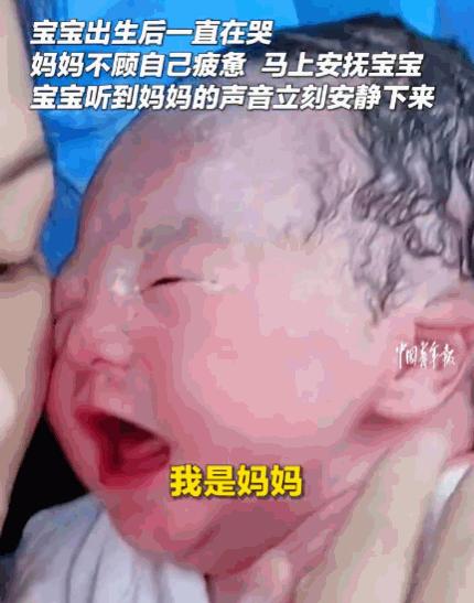 母子连心！山东东营一个新生儿用尽全身力气哭得撕心裂肺，全家轮番上阵哄了半天都白搭