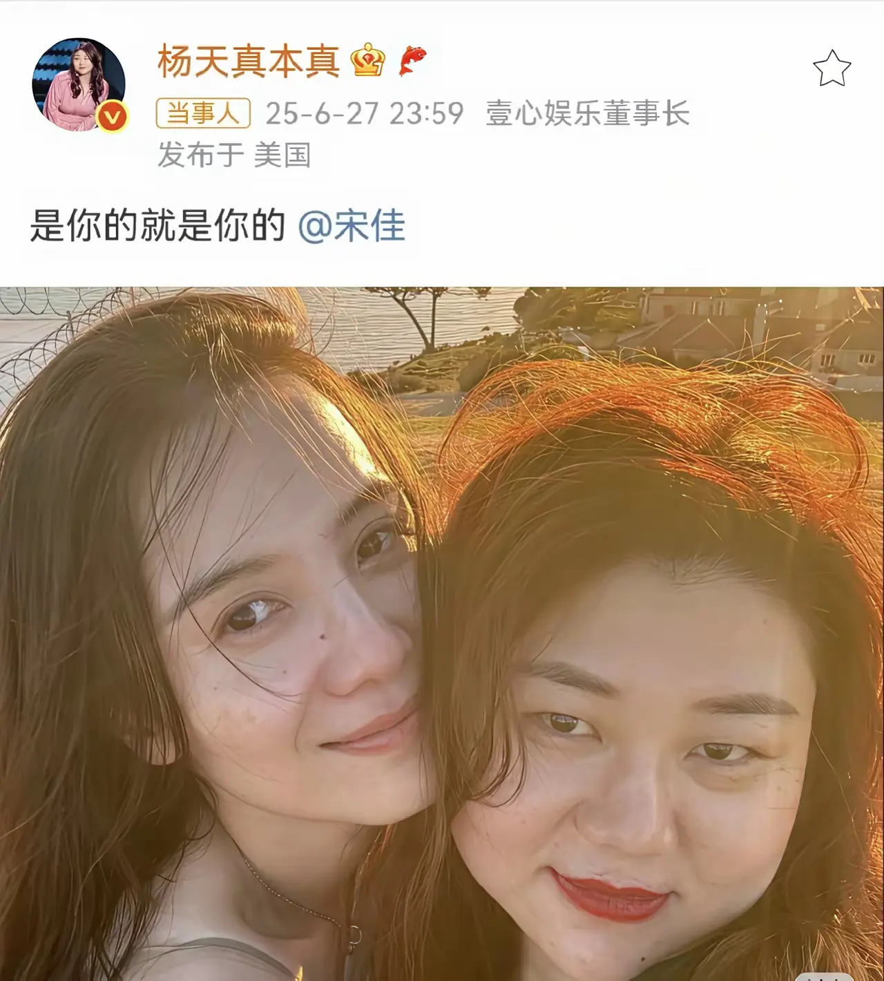 杨天真这是在阴阳刘亦菲吗？