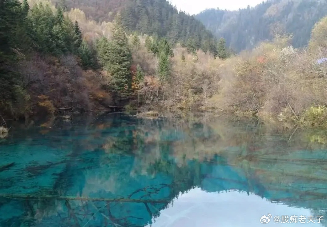 腰斩的科技股龙头，曾经的明星股，值不值得检？中际旭创，曾经1416元，现在902