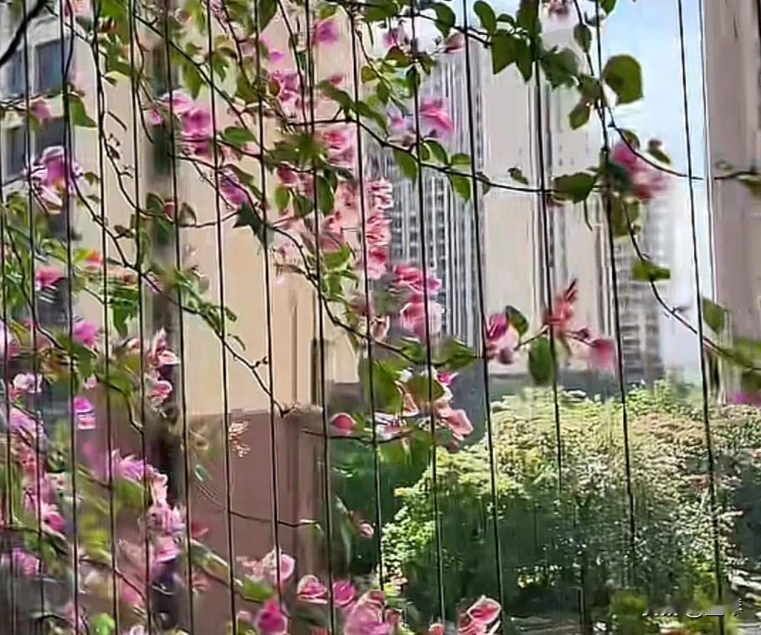 父母真不必强求子女活成自己的“标准答案”！我们家左邻是独生女，和别的家庭