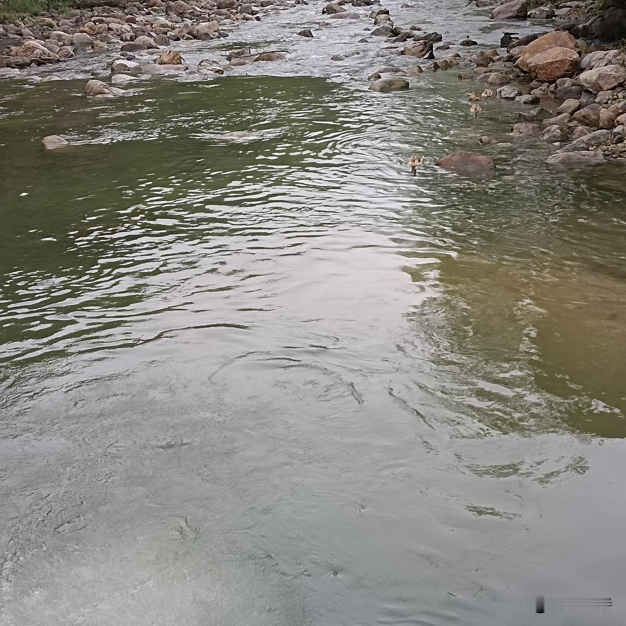 人心换人心，真心遇真心，你付出善意，终会被温柔以待；你积攒厚道，终会被