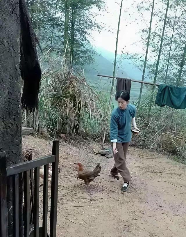 是导演忘了，还是导演根本就不知道。农村人如何喂鸡的？看刘亦菲这段喂鸡的戏份，真的