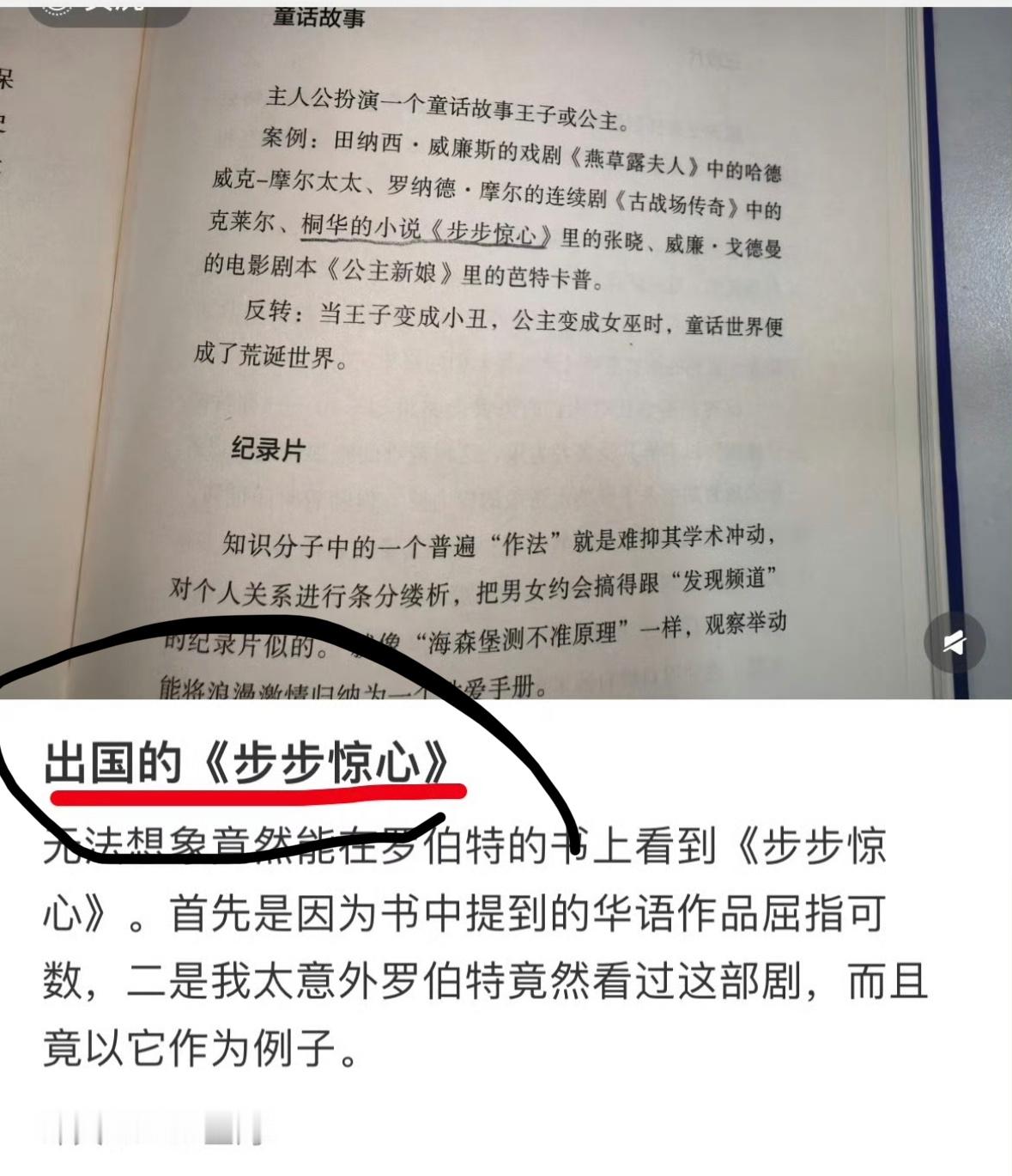 罗伯特麦基的《人物》里提到了刘诗诗主演的大爆剧《步步惊心》，里面只记得马尔泰若曦