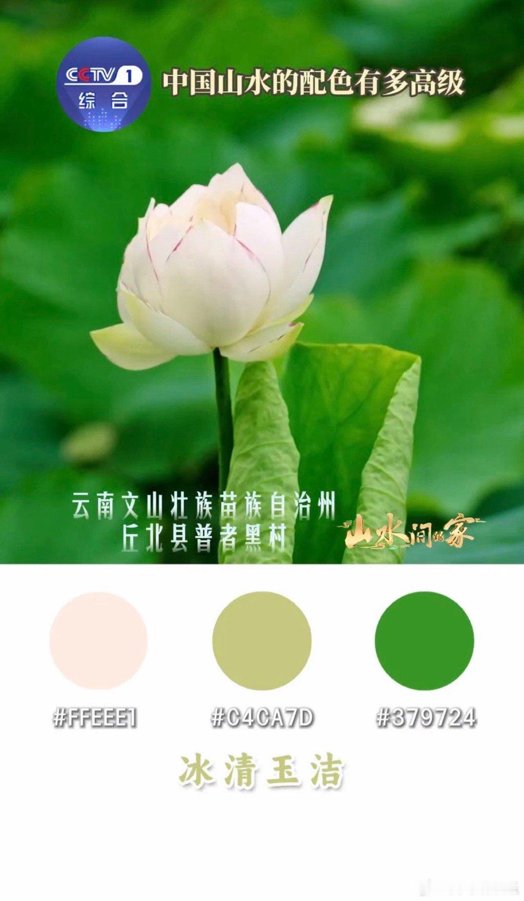 这里是中国去四川古镇，青石板路上满是青苔，茶馆里飘出盖碗茶香，老人坐在竹椅上摆