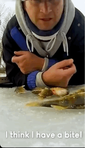 论如何激怒全世界的钓鱼佬